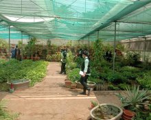 FIELD VISIT TO "CCRS" SIDDHA MEDICINAL PLANTS GARDEN, METTUR