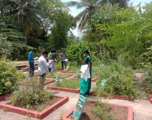 FIELD VISIT TO "CCRS" SIDDHA MEDICINAL PLANTS GARDEN, METTUR