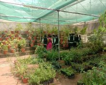 FIELD VISIT TO "CCRS" SIDDHA MEDICINAL PLANTS GARDEN, METTUR