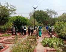 FIELD VISIT TO "CCRS" SIDDHA MEDICINAL PLANTS GARDEN, METTUR