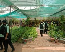 FIELD VISIT TO "CCRS" SIDDHA MEDICINAL PLANTS GARDEN, METTUR