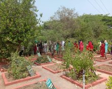 FIELD VISIT TO "CCRS" SIDDHA MEDICINAL PLANTS GARDEN, METTUR